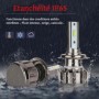 Kit Q6 Full leds CSP Vega® 1 ampoule H1 12V 24V