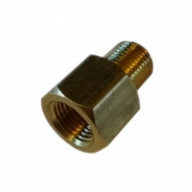 Adaptateur sonde Femelle 1/8-27NPT Male 1/8-28BSP