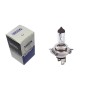 Ampoule Vega® H19 PU43t-3 12644LLC1 64181L 60/55W Halogène 12V