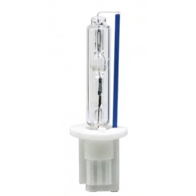 Ampoule HID Xénon Vega® H1 100W
