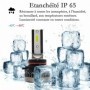 Kit Q3 Full leds COB 360° Vega® 2 ampoules H8 12V 24V