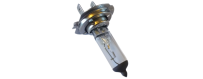 Ampoules auto moto halogènes Maxi Vega® 12V