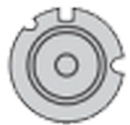 D4S