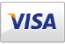 Paiements cartes bancaires Visa